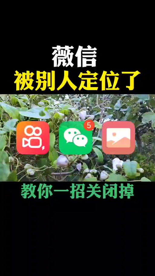 手机定位关闭后还能被别人定位吗缩略图