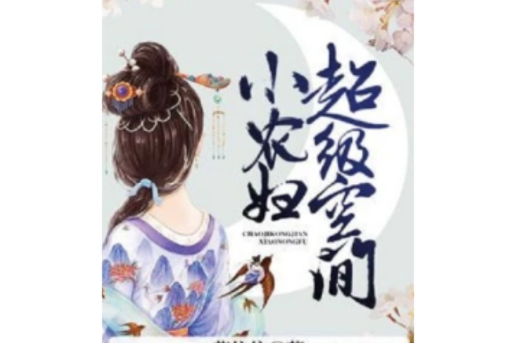 起极空间小农妇