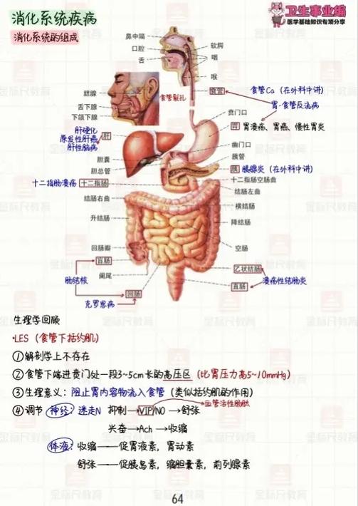 医学基础知识电子版图标