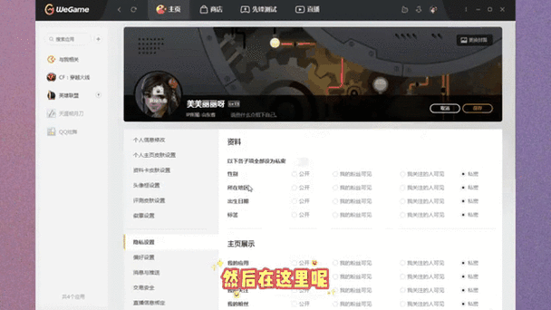 wegame如何隐藏LOL战绩截图