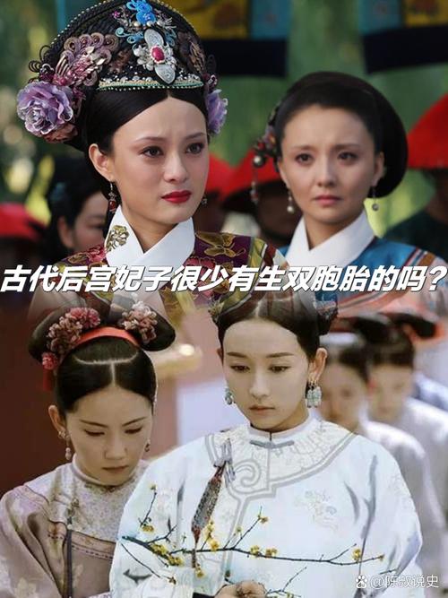 后宫乱方时能生双胞胎吗
