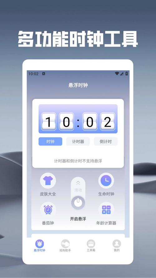 悬浮时钟秒杀抢购助手游戏截图