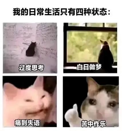 网络语喵喵是什么意思
