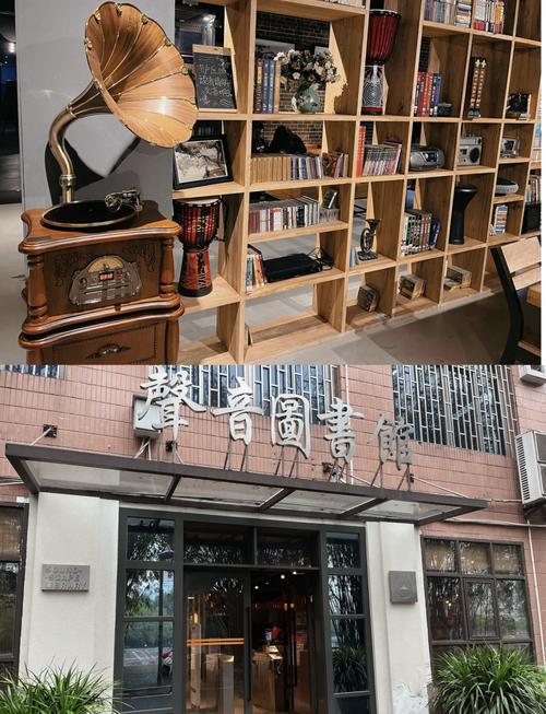 什么小说能听书