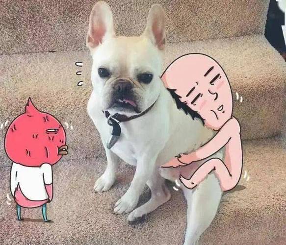 撩污大叔缩略图