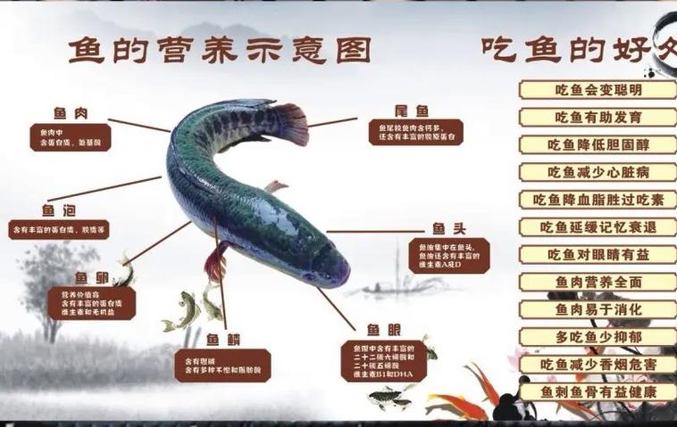 男人说想吃鱼暗示啥意思缩略图