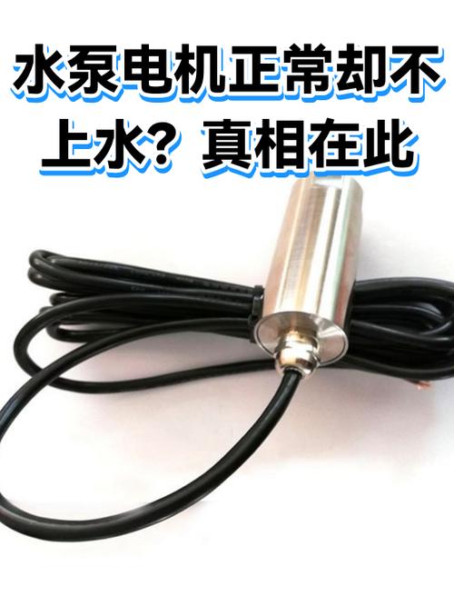 水泵正常转就是不上水