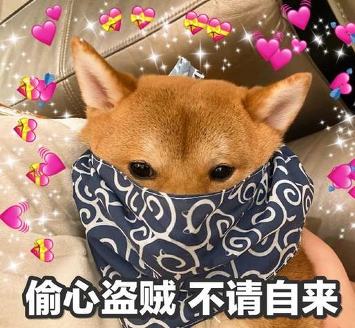 偷心盗贼游戏缩略图