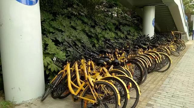 ofo小黄车官方电话截图