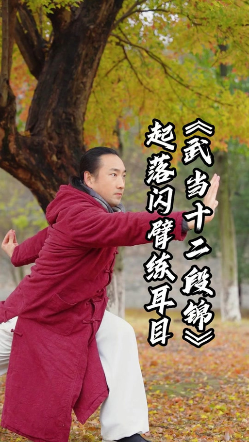 李在峰十二段锦全套