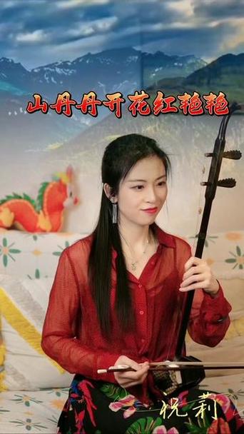 喜欢二胡的女人性格图标