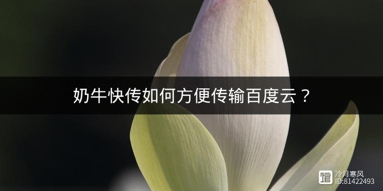 奶牛快传云盘使用方法