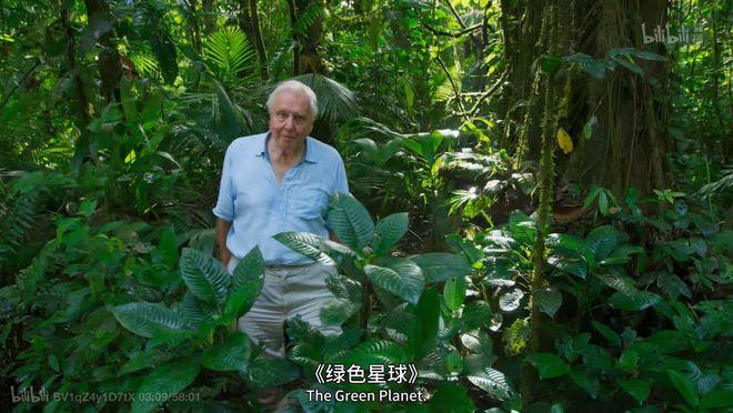 绿色星球讲了啥