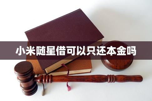小米随星借借的钱能花吗截图