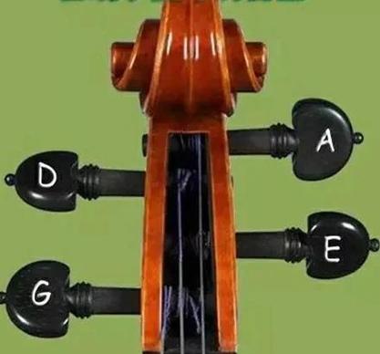 小提琴的弦要多紧