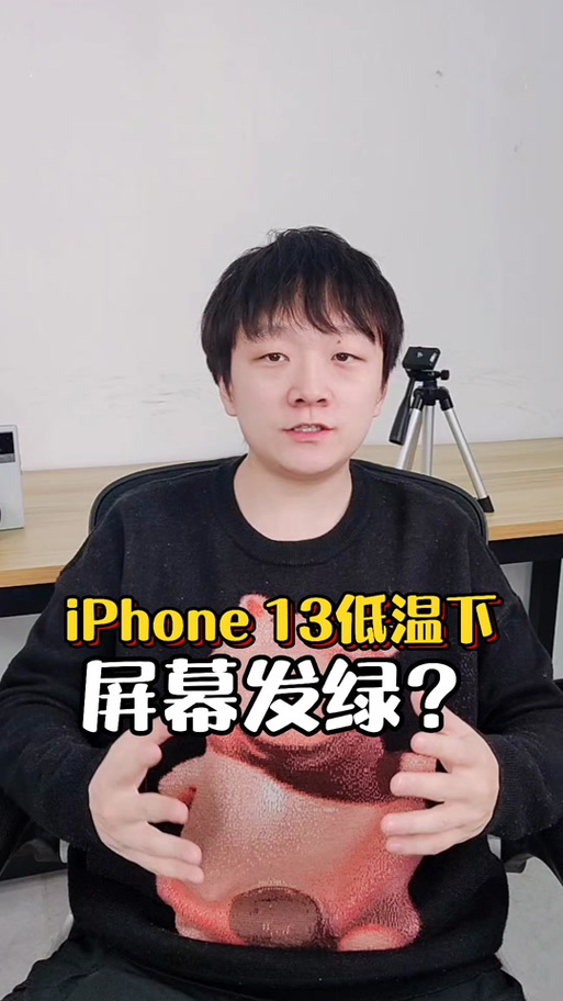 手机拍照有绿点是为什么