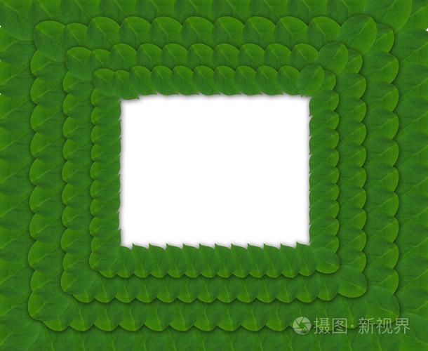 oppo出现一个绿色的框框