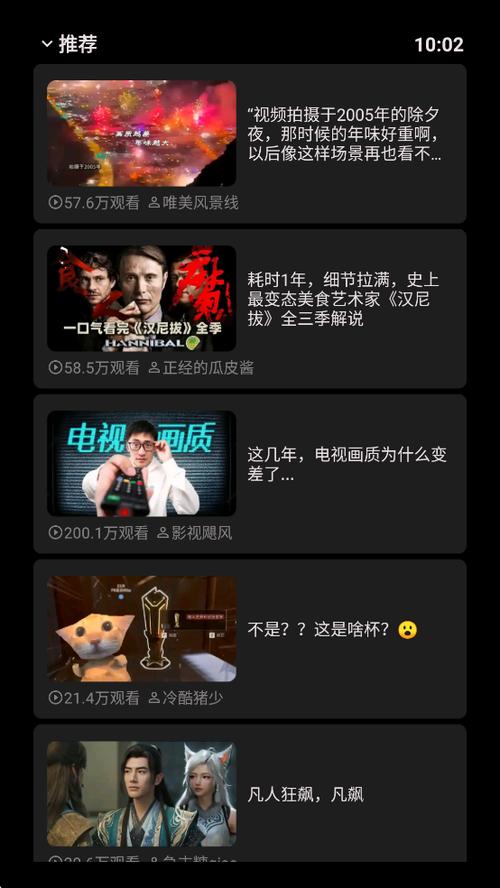 哔哩终端2.9.2-fix截图