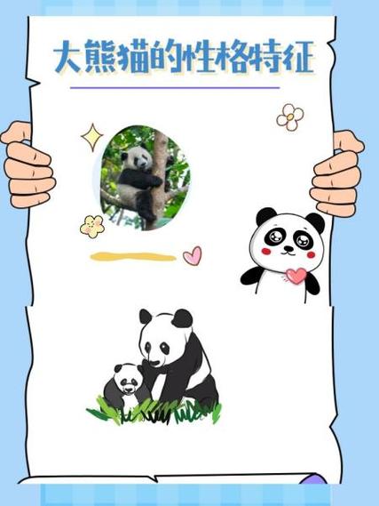 mc熊猫性格