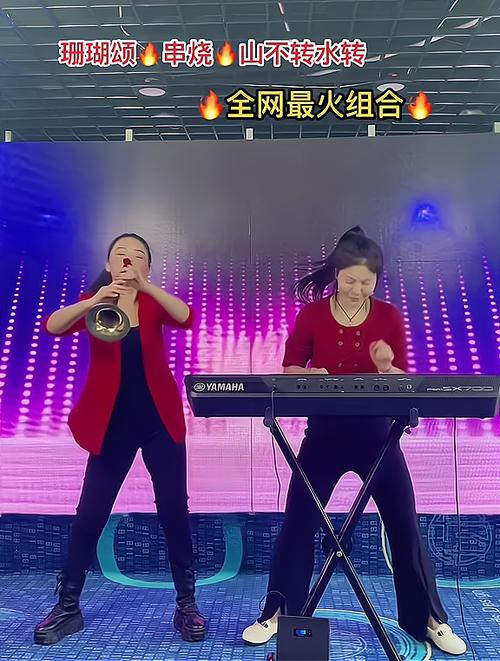 唢呐电子琴DJ老歌大串烧图标