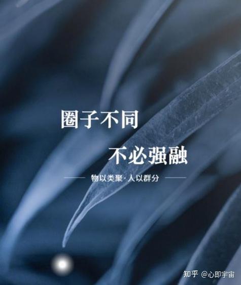圈子第一季截图