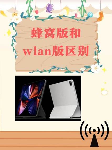 蜂窝版和wifi版区别游戏截图