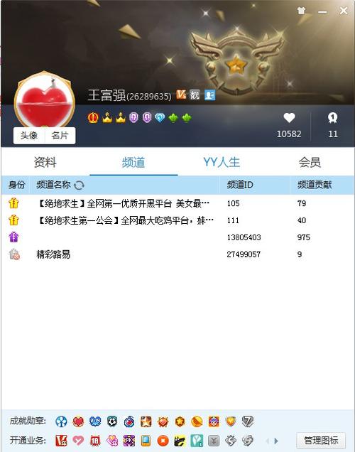YY最高等级图标