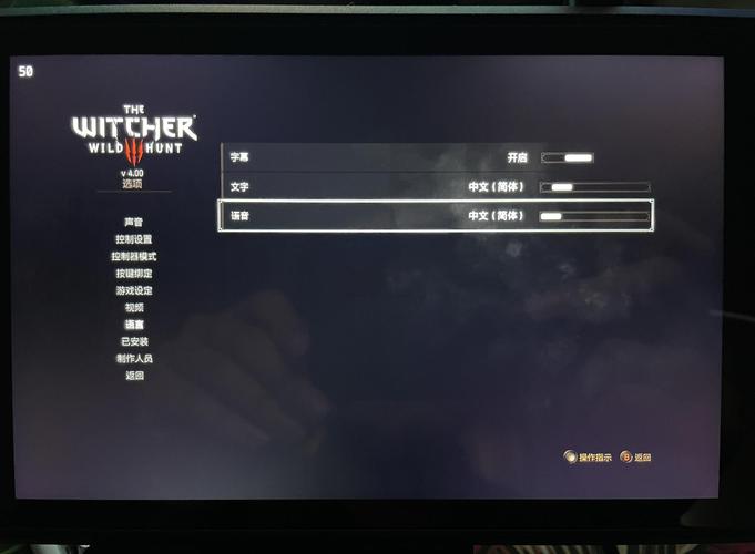 巫师3没有中文选项