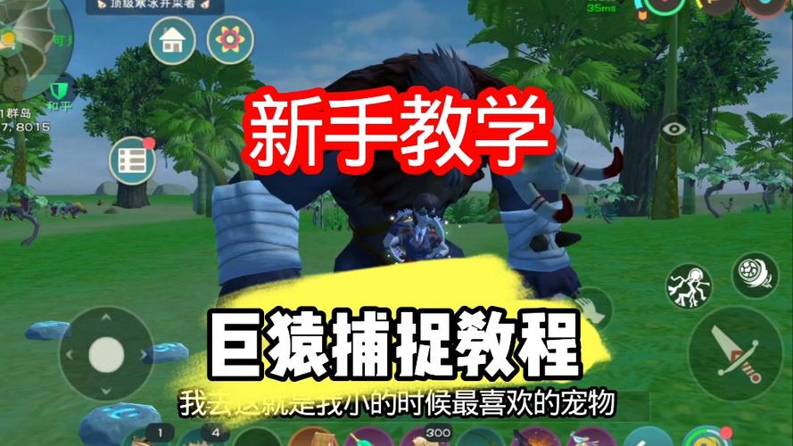 创造与魔法如何捕捉宠物