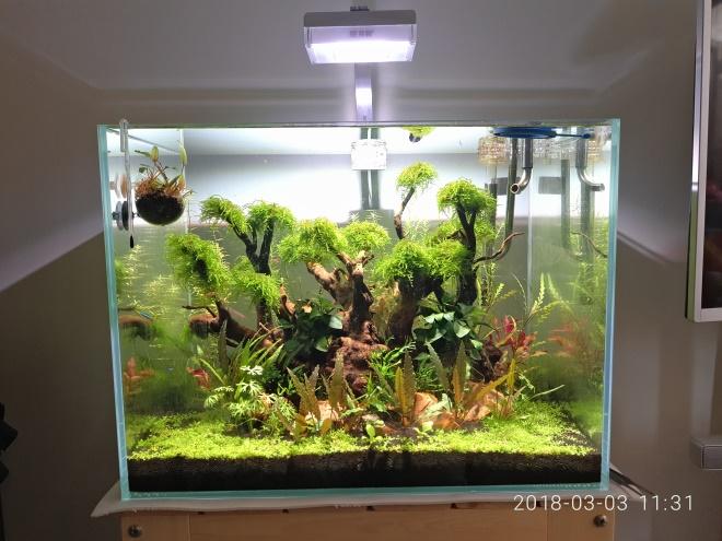 尼特利水族管理系统app的功能介绍
