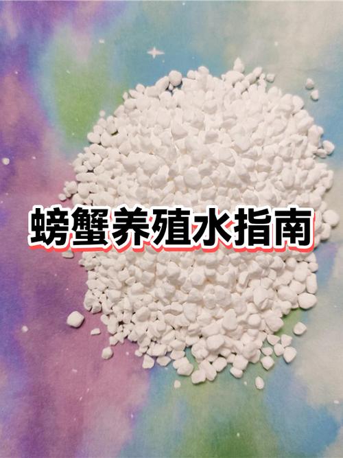公螃蟹和母螃蟹怎么繁殖缩略图
