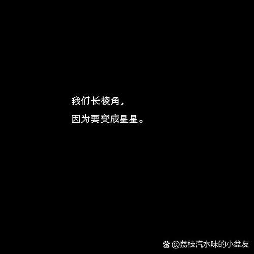 对偶像表达偏爱的文案