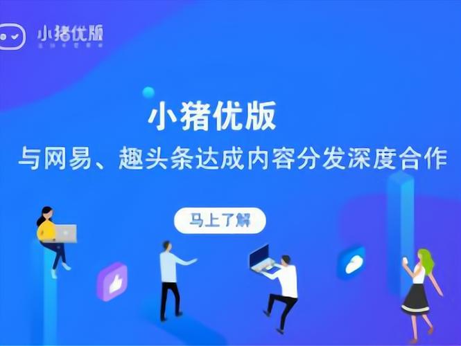 小猪优版王旭简历