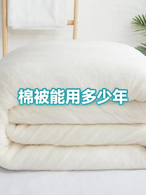 棉花被的寿命是多少年