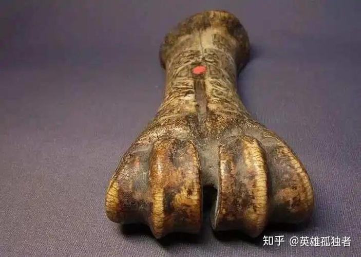 猫胸前有个骨头很突出图标