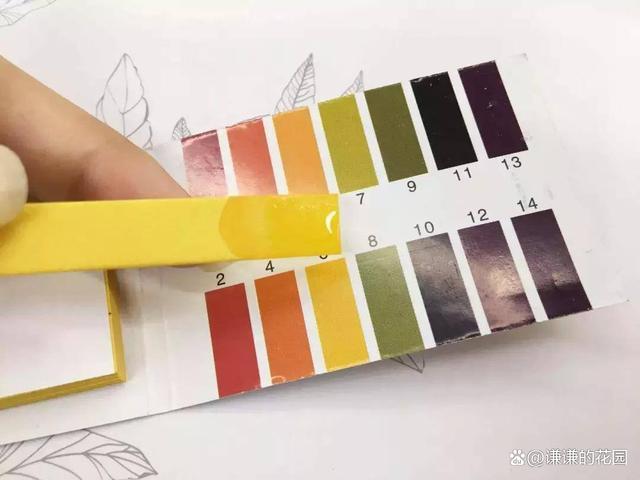 红蓝石蕊试纸怎么做