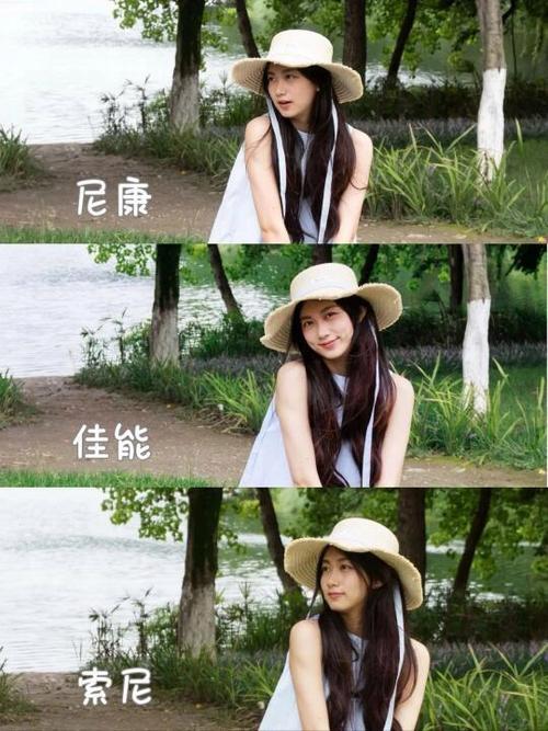 佳能和索尼的色彩有什么区别