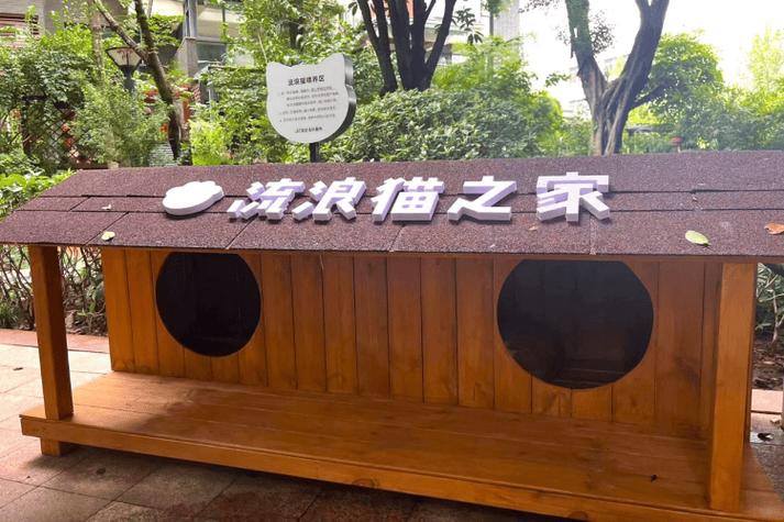 流浪猫入屋是好兆头吗