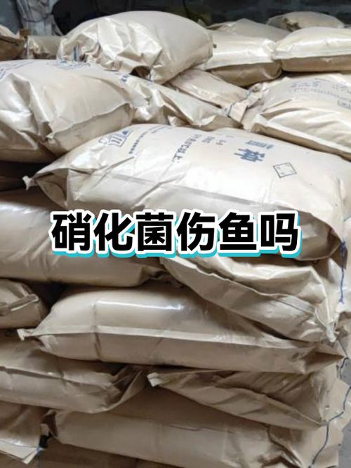 硝化细菌鱼吃了有事吗