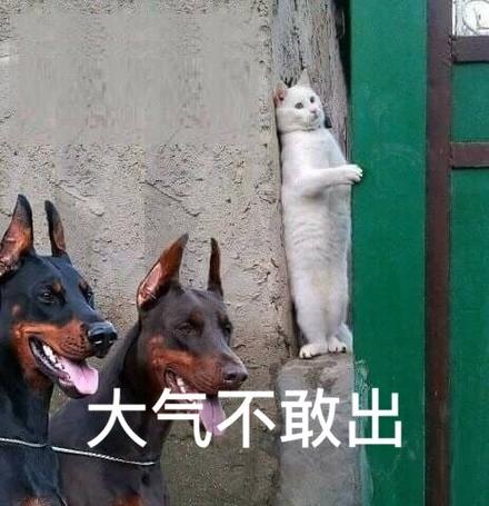 表示躲避的搞笑表情包
