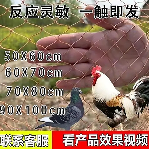 自动抓鸽子神器
