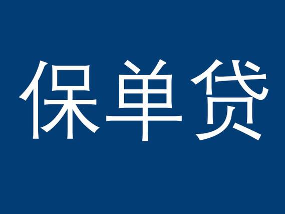 保单贷款是什么意思图标