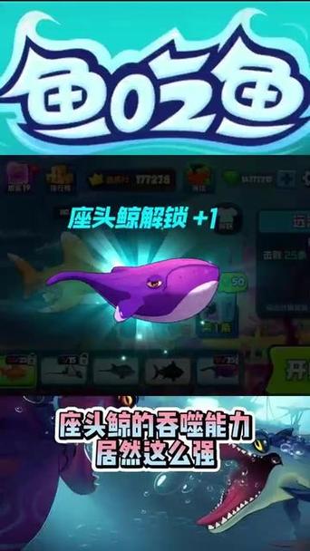鲸鱼兑换码