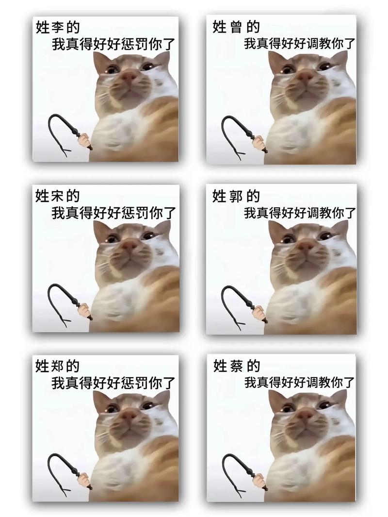 遇到同姓的人幽默回复截图