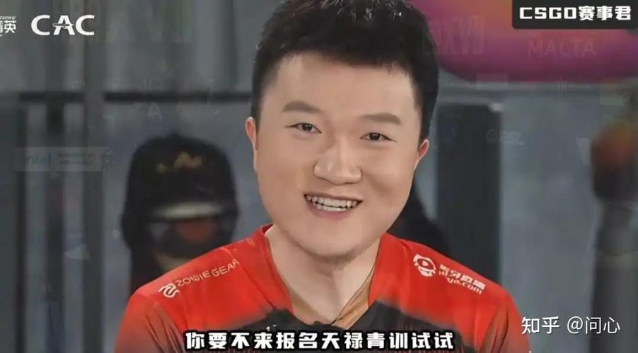 csgo职业选手库存