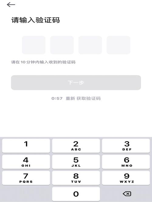 手机收到崽崽验证码游戏截图