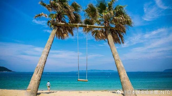 森之树屋只能提交四种