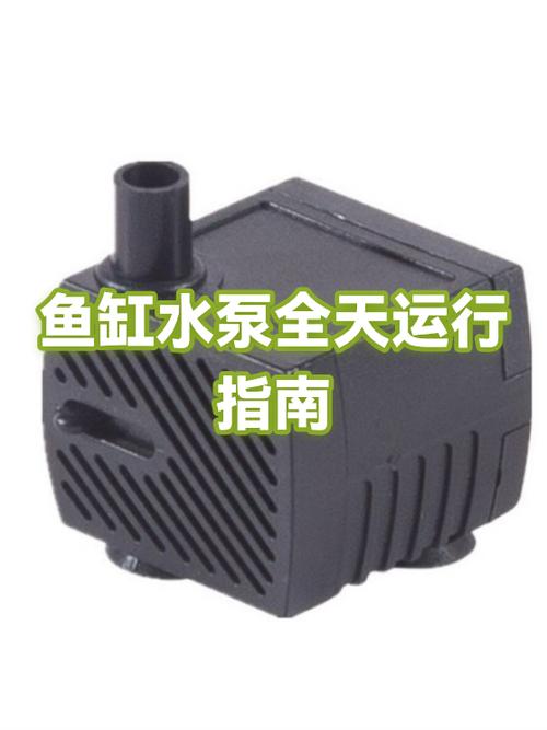 鱼缸水泵全天24小时都得开吗