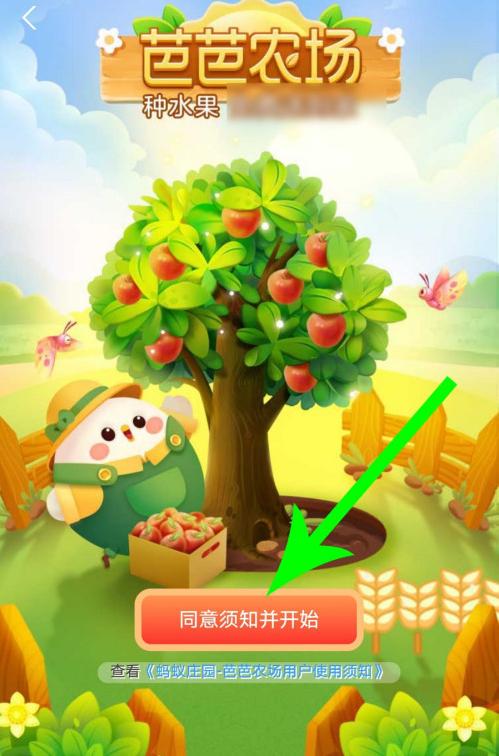 在哪个app种果树拿水果