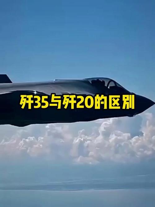歼35和歼20的区别游戏截图
